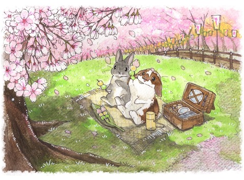 D00A7D25-2A1F-4518-98A2-8C4D872065D7