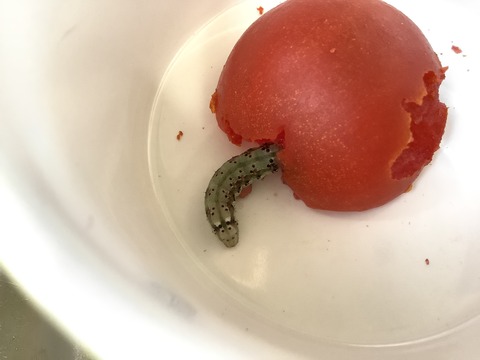 C9D98725-1A03-4F50-A03E-6F2CA0FC053E