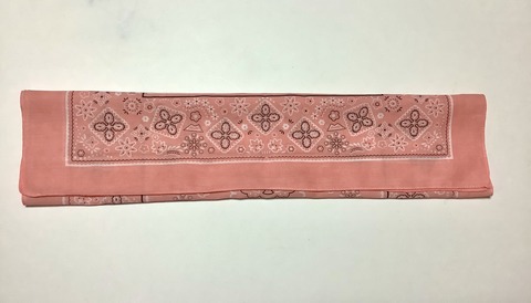 06EBD515-3F50-4CDA-AC9B-CD17B9A2A1C3