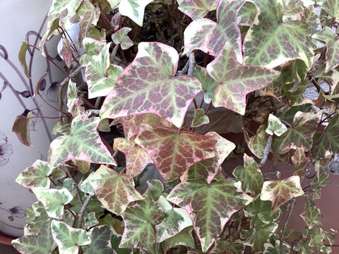 1B5D6B03-888D-44BA-A122-24040ACABAB9