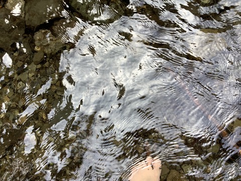 556F43AD-F338-4C67-8DBE-3C008D1063A5