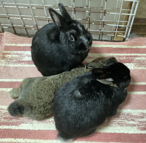 F3E96820-83A7-4554-8864-EDC5CEC19731