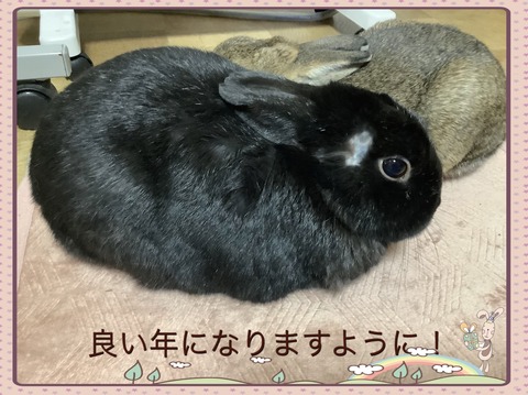 0C98821E-42D1-4637-A9D9-4B368FACD43F