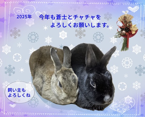 無題613_20250102161249