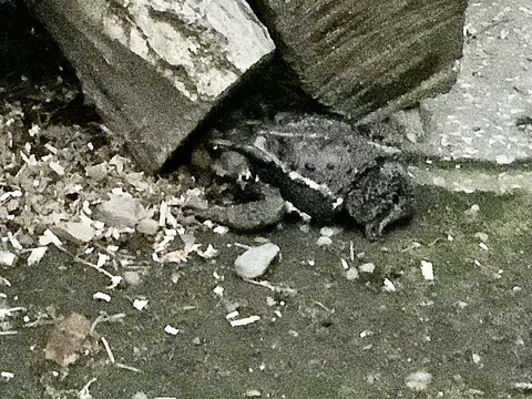 76D9C137-FE29-49E1-80E5-071DC4D8E167