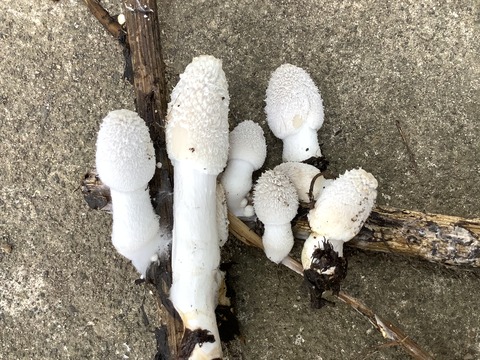 046D7FBF-8A55-41D6-B9DD-05B2E28455A2