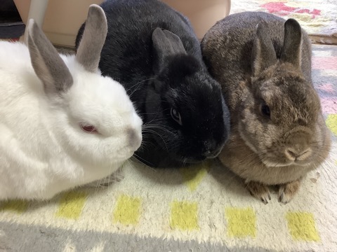 7AC7E784-C562-4A83-B7E4-EFAF205EB7A7