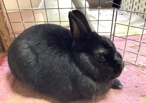 6A5D272F-CF47-4691-B52A-4EA62F66B7DB