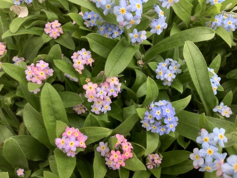 F20EEA32-5D1B-4F4B-81CF-25AB511A70EF