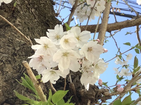 B98F3E52-2FC6-41C8-BF7D-F37A59D85E5E