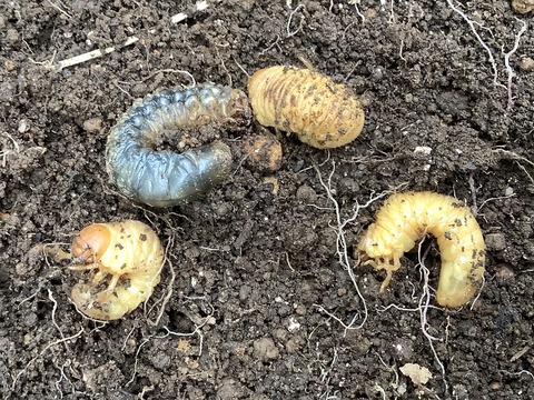 C8EF7A7E-019A-447F-B052-9384D2AC1CA4