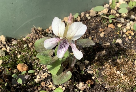 71BE3102-4218-4A78-8443-7B4989F53CFD