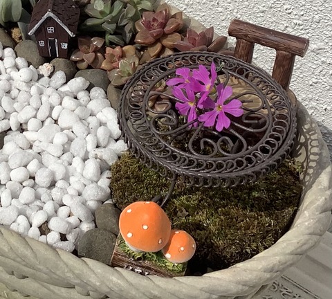 17708609-3F56-4DBB-8B03-F89603EA49F5