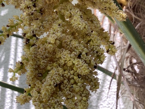 AE5AD656-498C-4507-8337-28FFBD9537FF