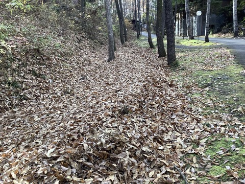 108D62FB-D903-4B34-BC62-08B8B2679C4C