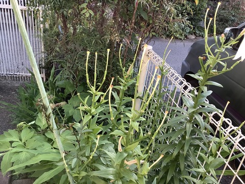 0B927A3D-75E3-405A-A592-2F6C4B7F0AFE