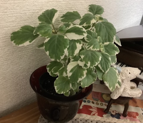 ECC24C5F-05B3-405D-8142-26037CC0B0CB