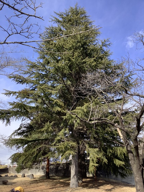 98C29860-A86D-4801-B136-935D002E331C