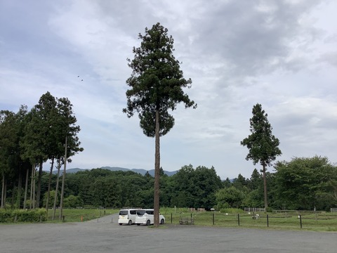 C9DBBBFA-AC4A-4FDA-8D10-937672B8DE10