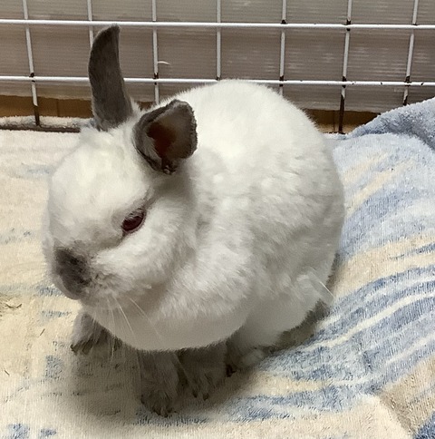 F6ABA043-0A9E-4EC1-B63E-C66F68FFE8E0