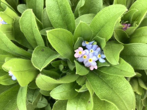 5A8E688B-3420-4755-B456-CC7D70A81334