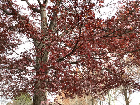 FF2A2EB3-7DB6-407A-A2BB-C7F55E7FD3DD