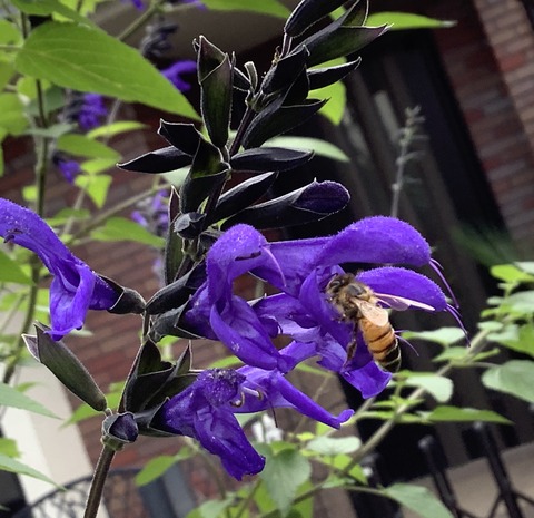 73B93159-F261-463B-802E-358DCF1C87F6