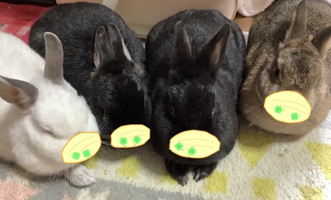 26CA5C58-9732-4A6A-8719-465070D36072