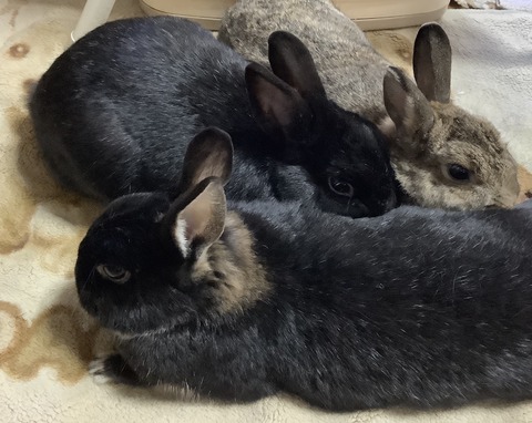 1FC35245-90AD-4A4C-8AC4-2056D7465F00