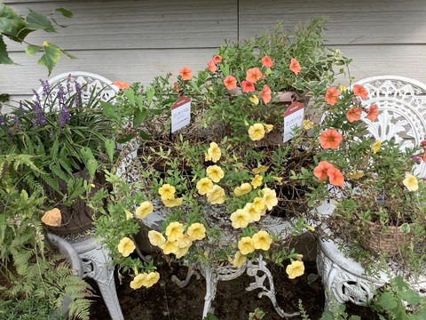 D6961A34-08F7-4C83-B9C2-14C33BC02CAE