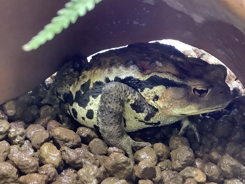 252F65A8-4E76-4850-B20C-025DA1AE80E1