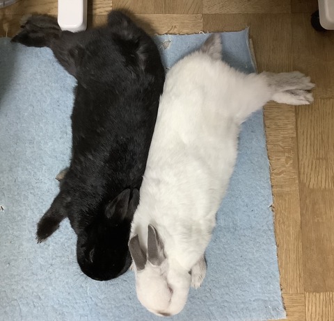 35AA74C2-BA3A-4B7A-A305-8AF1DB925E96