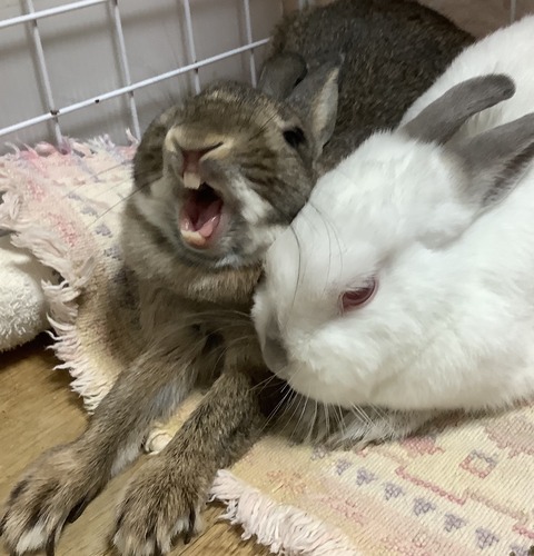 682B2F21-DFEC-45BD-901C-776AF0B93132