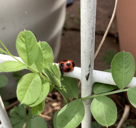 4E64E259-A53A-4B22-8B3D-9F12AD7564FE