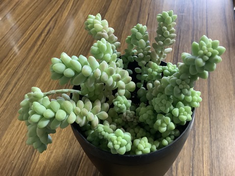 1D9D6183-4906-4083-8366-4C62B61AF01D