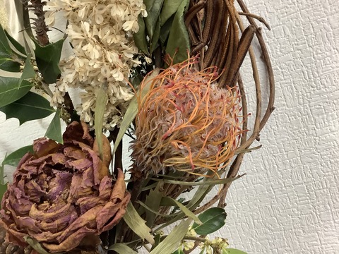 5D1359C4-2A56-4133-BC70-6981EE08CAD5