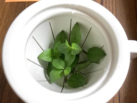 4586C10D-19BF-4AB5-9A80-8508F7F2FCCD