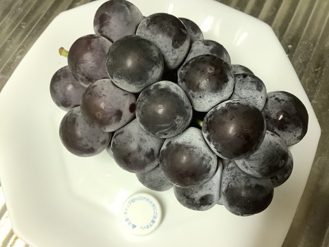 6583DC69-71B0-4A31-AB2D-AA35908323C9