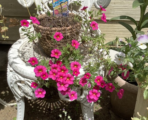 0A502169-FFF5-4069-8CA9-B39E29021DBC