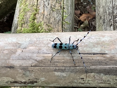 F82C9F42-B75B-43B4-A17A-D9B17FACF822