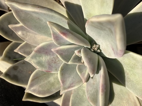 1D1B1680-982F-4964-B1E8-0F34485A1521