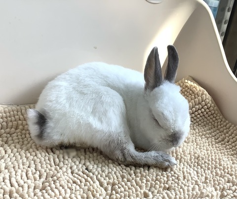 無題455_20230513175002