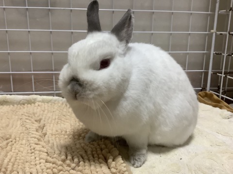 DF5A3B49-E027-4496-8148-073349D2D448