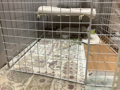 E7F23C4C-A33B-4F15-9D1F-26F82D67FF08