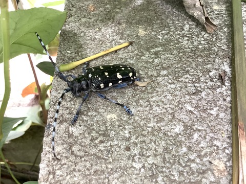 A8A081B4-ED70-4760-B375-97DB0833B1E3