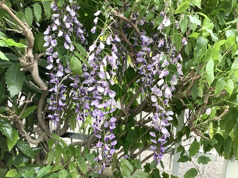 00576CD8-93AD-458F-AEFC-BBBAB0A4FF01