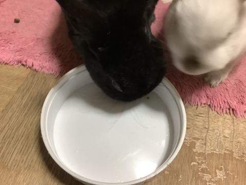 6C8EE8F8-2E2F-4BEF-9DAF-A4F2207FF611