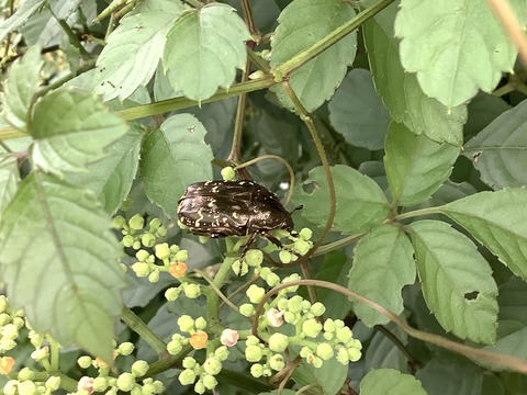 028298B8-83E9-4F06-A6F8-E5468879E254