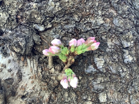 F7A03198-B64A-4002-968A-4FA8D3229044