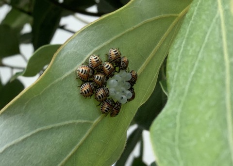 27501542-B286-4BA5-8136-657DAC28003C